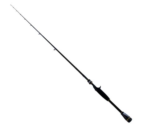 Daiwa AIRD X Braiding X 7'3 Medium Heavy Casting Rod Mod.# AIRX731MHFB