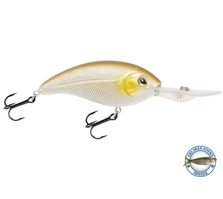 Livingston Lures Deep Impact 18 Lures 3320 ON SALE!