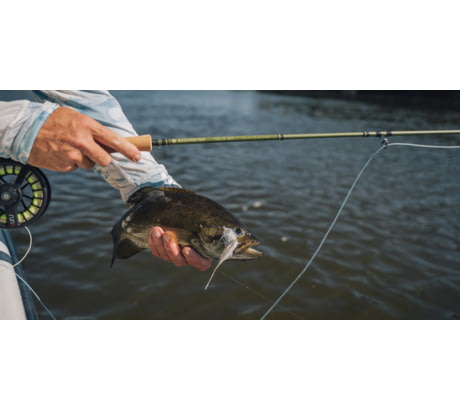  Redington Bass Fly Fishing Field Kit, 9' Medium-Fast